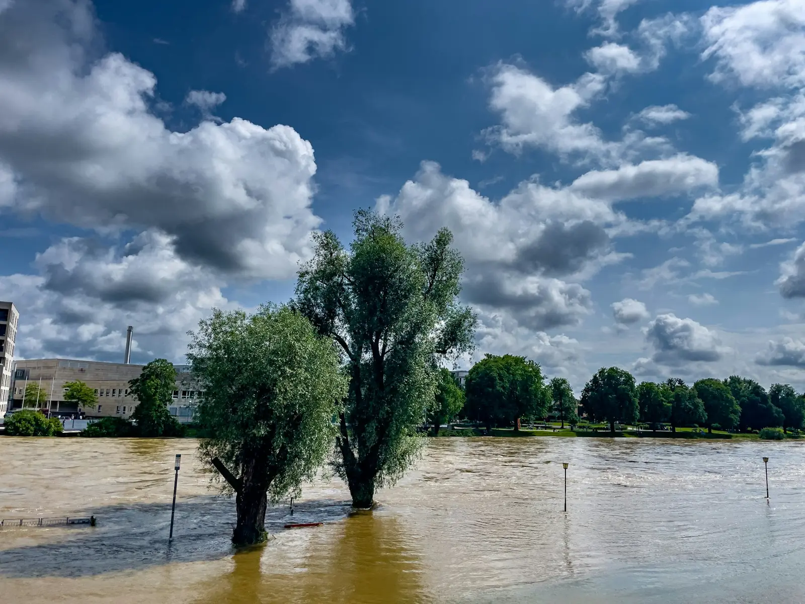 A swollen river spread over its banks, with trees standing in the water